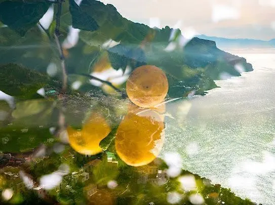 Alojamento de Acomodação e Pequeno-almoço Da Salvatore